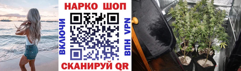 Что такое Торжок Амфетамин  Cocaine  ГАШИШ  Каннабис  СОЛЬ 